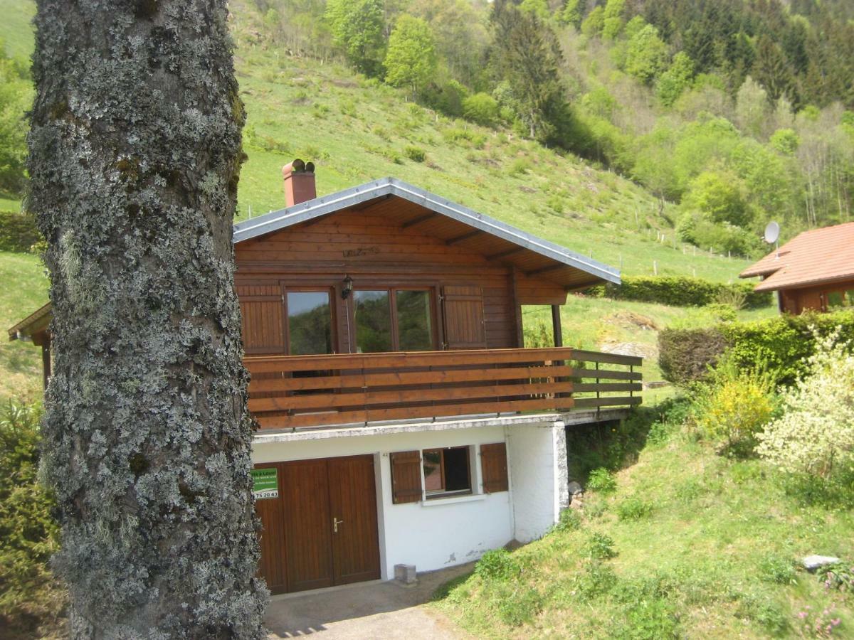 Chalet Les Jonquilles La Bresse Exterior photo